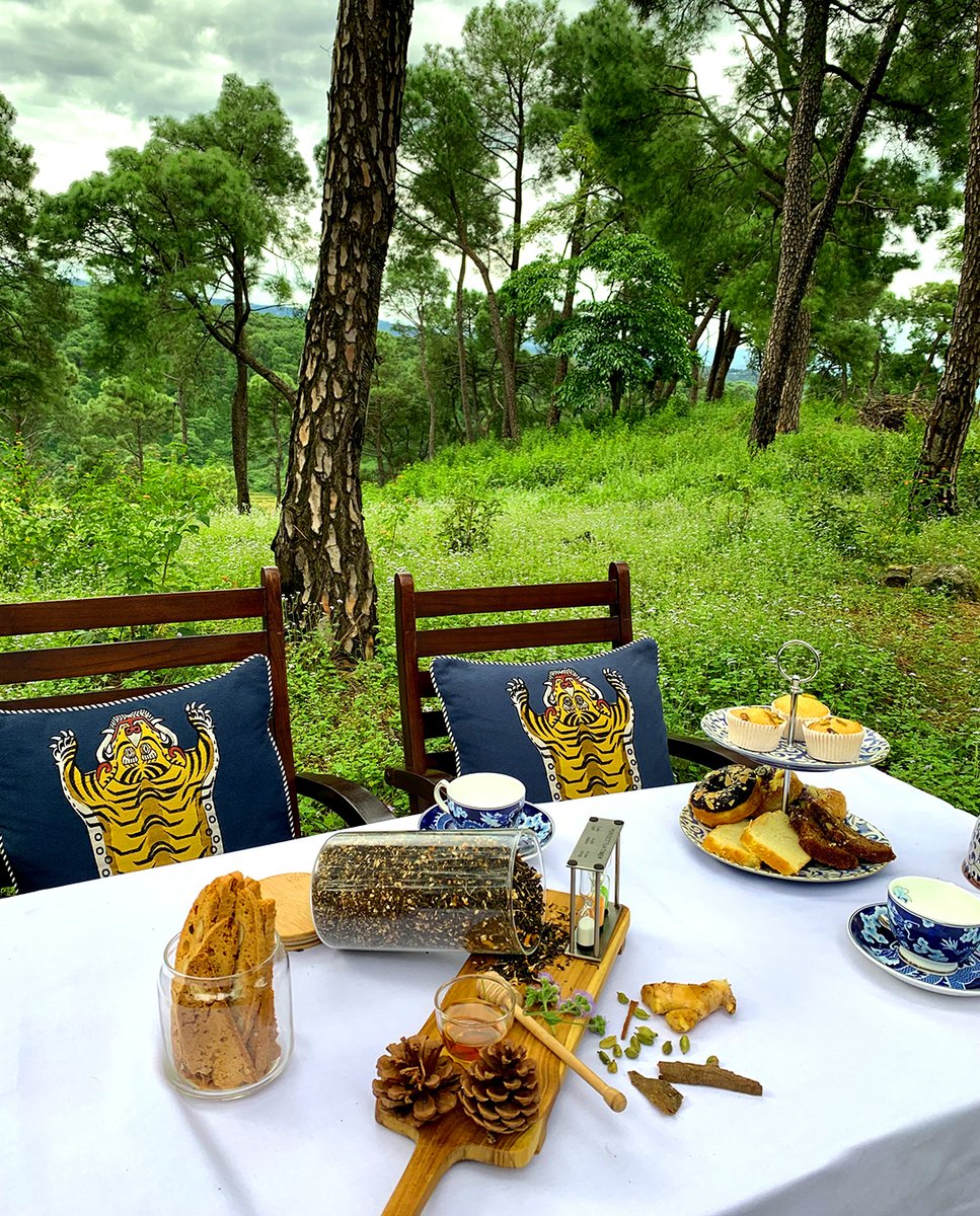 HyattRegencyDHM's tweet photo. A mesmerizing #HighTea amidst the greenery of the #DhauladharRange, an experience unmatched as compared to any other.

#WorldOfHyatt #ShantiMoments #IntoTheHimalayas #HiTea #UniqueExperience #Sunset #MesmerizingEvening #HyattRegency #Hyatt #HyattRegencyDharamshalaResort https://t.co/cpL2Z85Efn