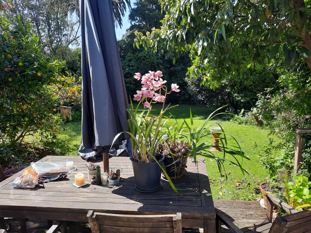 Bryan_Mulligan's tweet photo. Lovely Trinity afternoon today. https://t.co/kL7eVNoWLn