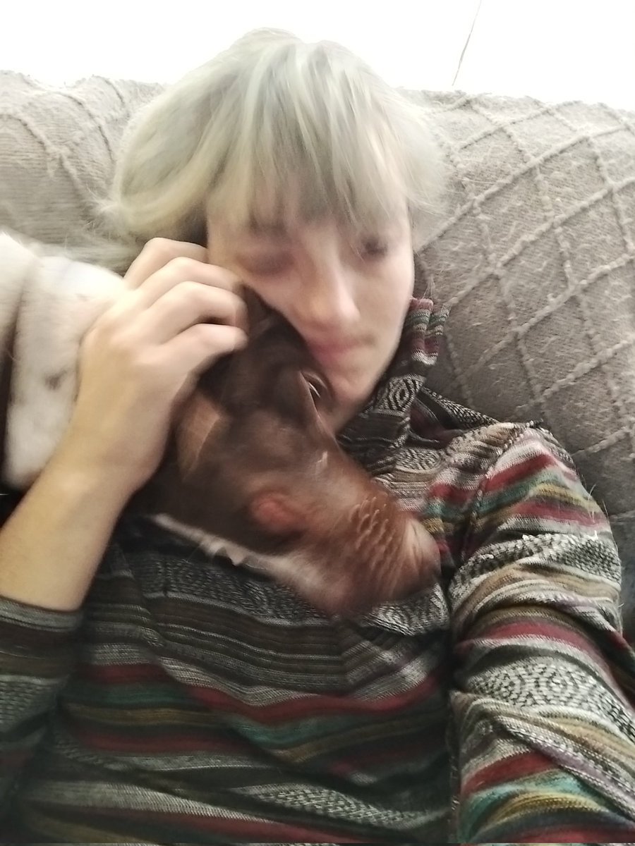comrade_wombat's tweet photo. I fucking LOVE MYjob dog grooming https://t.co/8LRC3WIUuZ