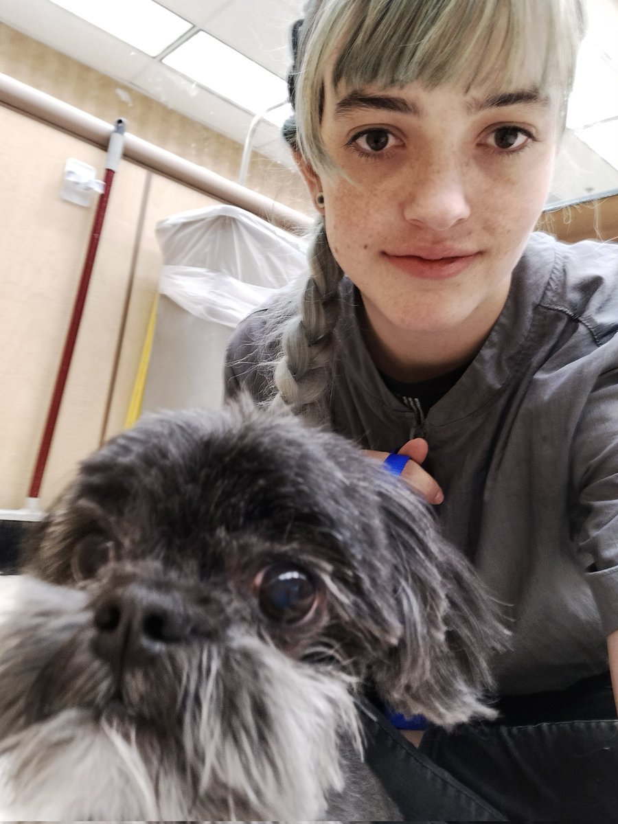comrade_wombat's tweet photo. I fucking LOVE MYjob dog grooming https://t.co/8LRC3WIUuZ
