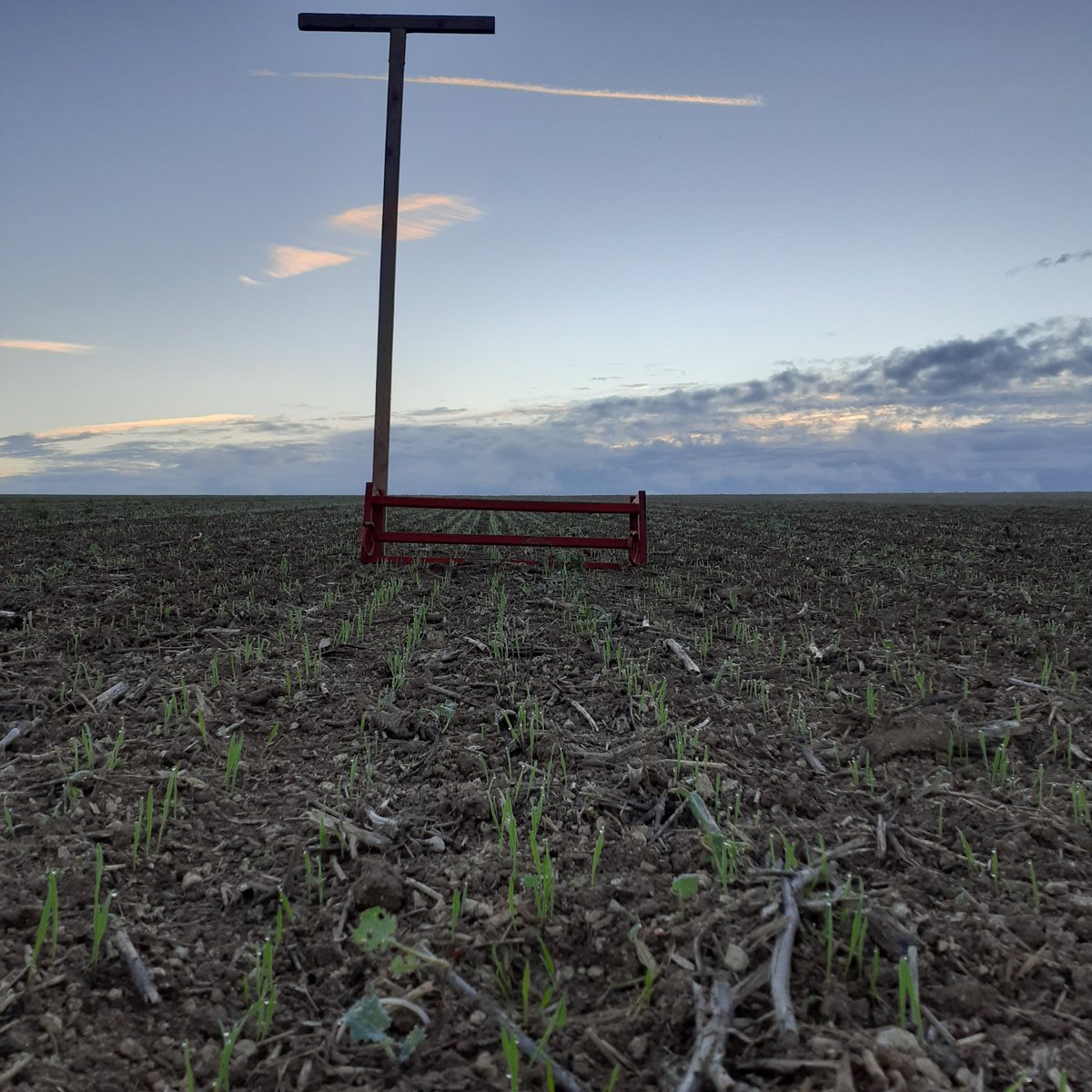 GuyotVincent02's tweet photo. Bonjour les #twittos et @RdHardivilliers ,
Semis de #blé 🌾 + 12 jours (en votre compagnie) avec mon truc et voilà les lignes d'#Audace ...
Je crois qu'il ne va pas si mal, mon truc : T-drill Hybride #guilbart version 2022.
Bon dimanche à tous. https://t.co/VomjiFYTwh