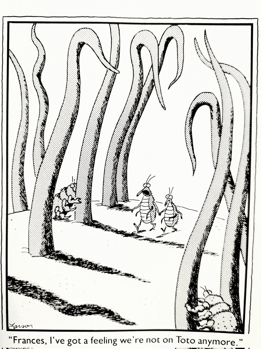 Into the real world after clearing up the tenure-track...#Academia #tenure #professor