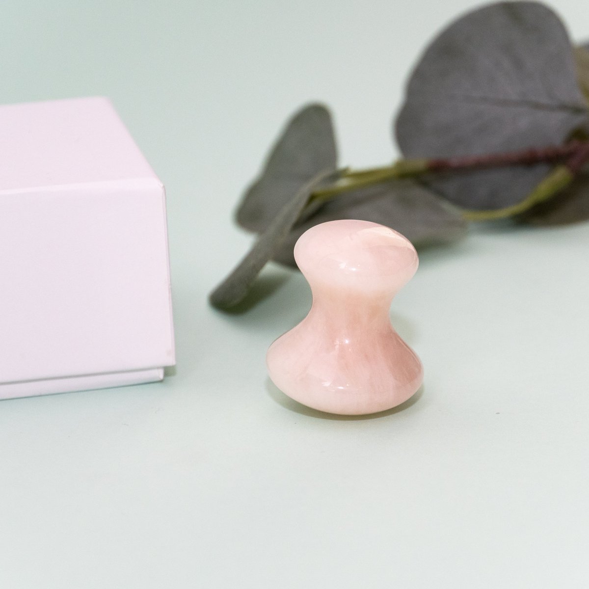 Have you tried our Eye Mushroom Tool yet? We bet it’s going to become your new favourite. Get it now.
Price السعر: 135.00 QAR ريال قطري
هل جربت أداة العين هذه؟ نحن على يقين من أنه سيصبح المفضل لديك. احصل عليها الآن
