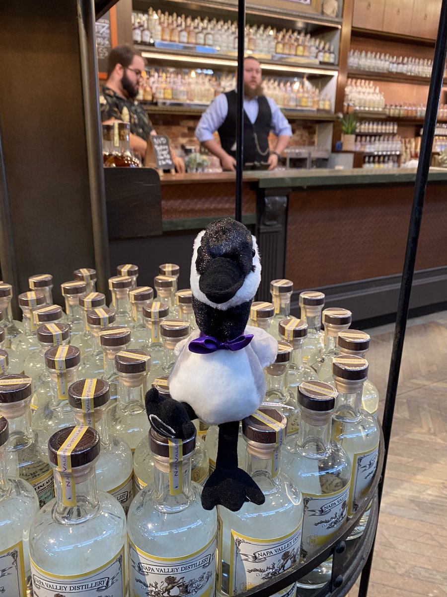 The Panda tweet media