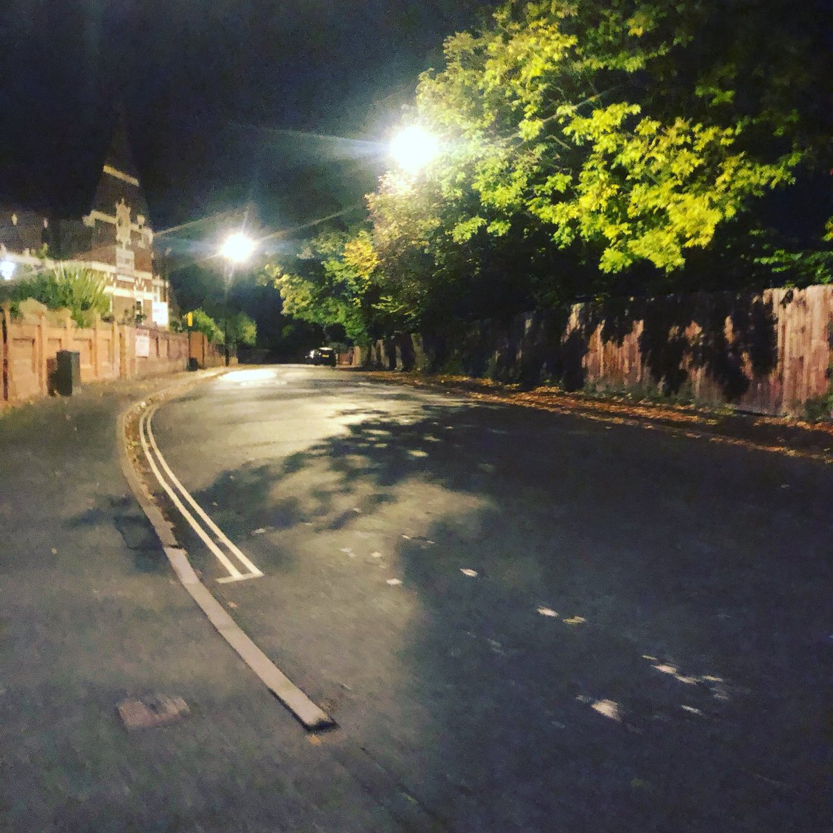 Aren’t autumn morning dog walks just great 🤬🤬