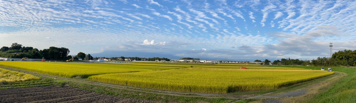 John Willis tweet media