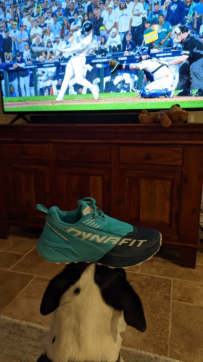 jenmanfredi's tweet photo. @JenDowlingNews @Mariners @fox13seattle @hatbacksea LET'S GO MARINERS ...
RALLY SHOE DOG https://t.co/IZBVjA3ndg