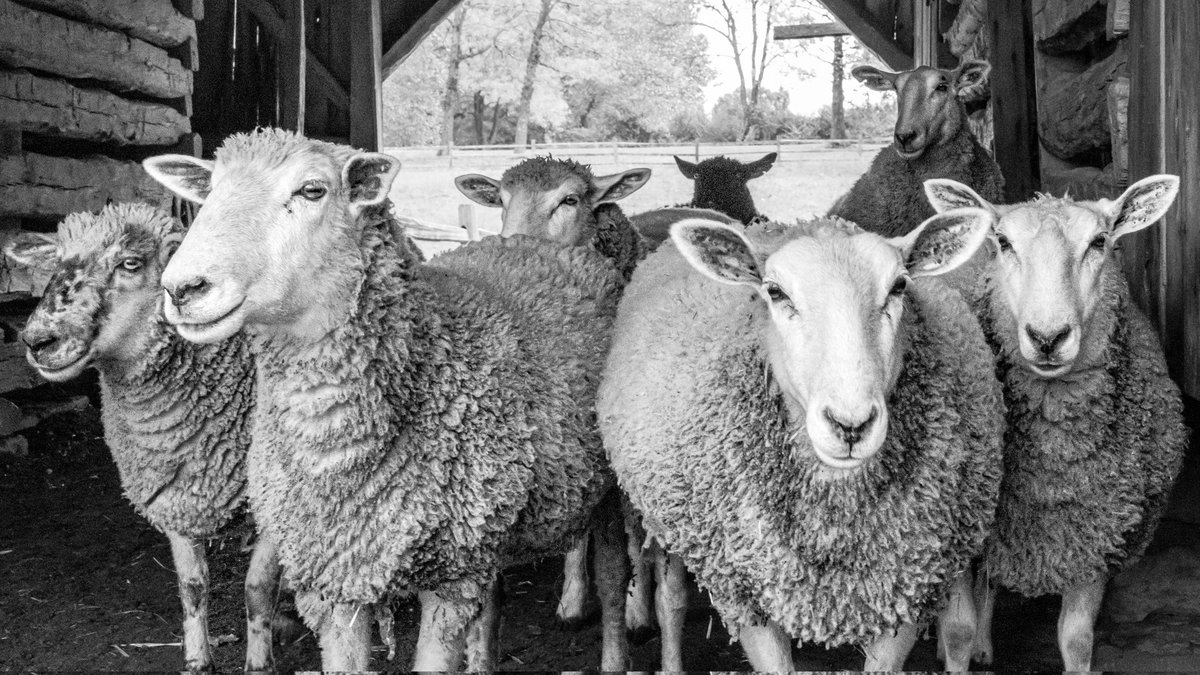 #blackandwhitephotography #blackandwhitephoto #streetphotography #photooftheday
 #photography  #photo #foto #photographer  #picoftheday  #canonphotography #monochrome