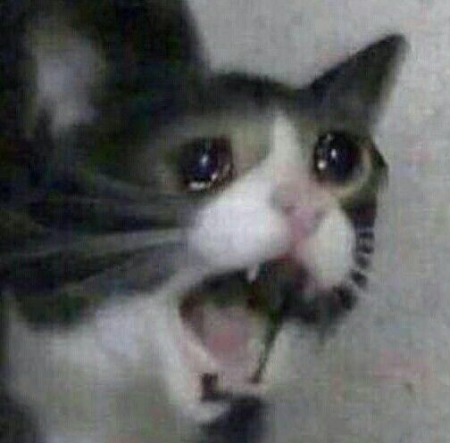 santyblook_nic's tweet photo. Todos después de terminar de ver "Thanks To Them":
...
#TheOwlHouseS3 #TheOwlHouse #TOHSPOILERS https://t.co/HtrFMDET3r