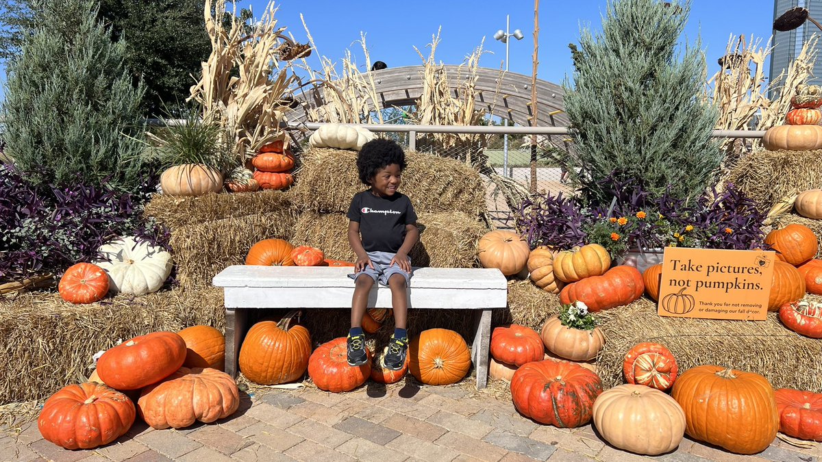 HeavenlySkyes_'s tweet photo. 2022 vs. 2019 🎃 #KalReign https://t.co/vRZOn09Hme