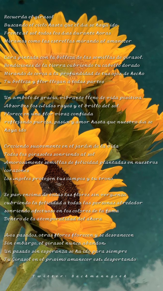 bachmanngeek's tweet image. My poem for Vincent Willem Van Gogh
with my deepest condolences,
wish you comfort and peace.
14th October, 2022

#poem #gedikt #gedicht #philosophy #sunflower #climate #poetry
