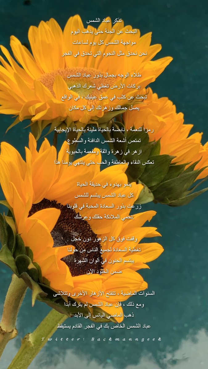 bachmanngeek's tweet image. My poem for Vincent Willem Van Gogh
with my deepest condolences,
wish you comfort and peace.
14th October, 2022

#poem #gedikt #gedicht #philosophy #sunflower #climate #poetry