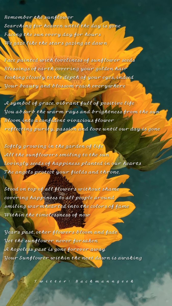 bachmanngeek's tweet image. My poem for Vincent Willem Van Gogh
with my deepest condolences,
wish you comfort and peace.
14th October, 2022

#poem #gedikt #gedicht #philosophy #sunflower #climate #poetry