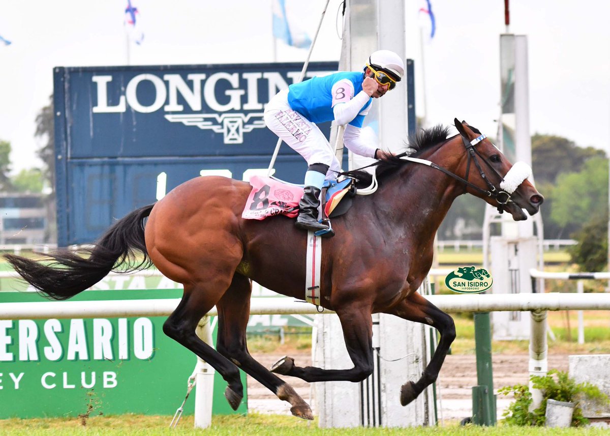 HipodromoSI's tweet photo. ✅ En el Hipódromo San Isidro se disputó el #GPSanIsidro (G1 - 1600 metros), donde se impuso #BambCraf (Mastercraftsman), del #StudFirmamento, entrenado por #AlfredoGaitánDassié y dirigido por #RodrigoBlanco. https://t.co/mRfWwaBDw0