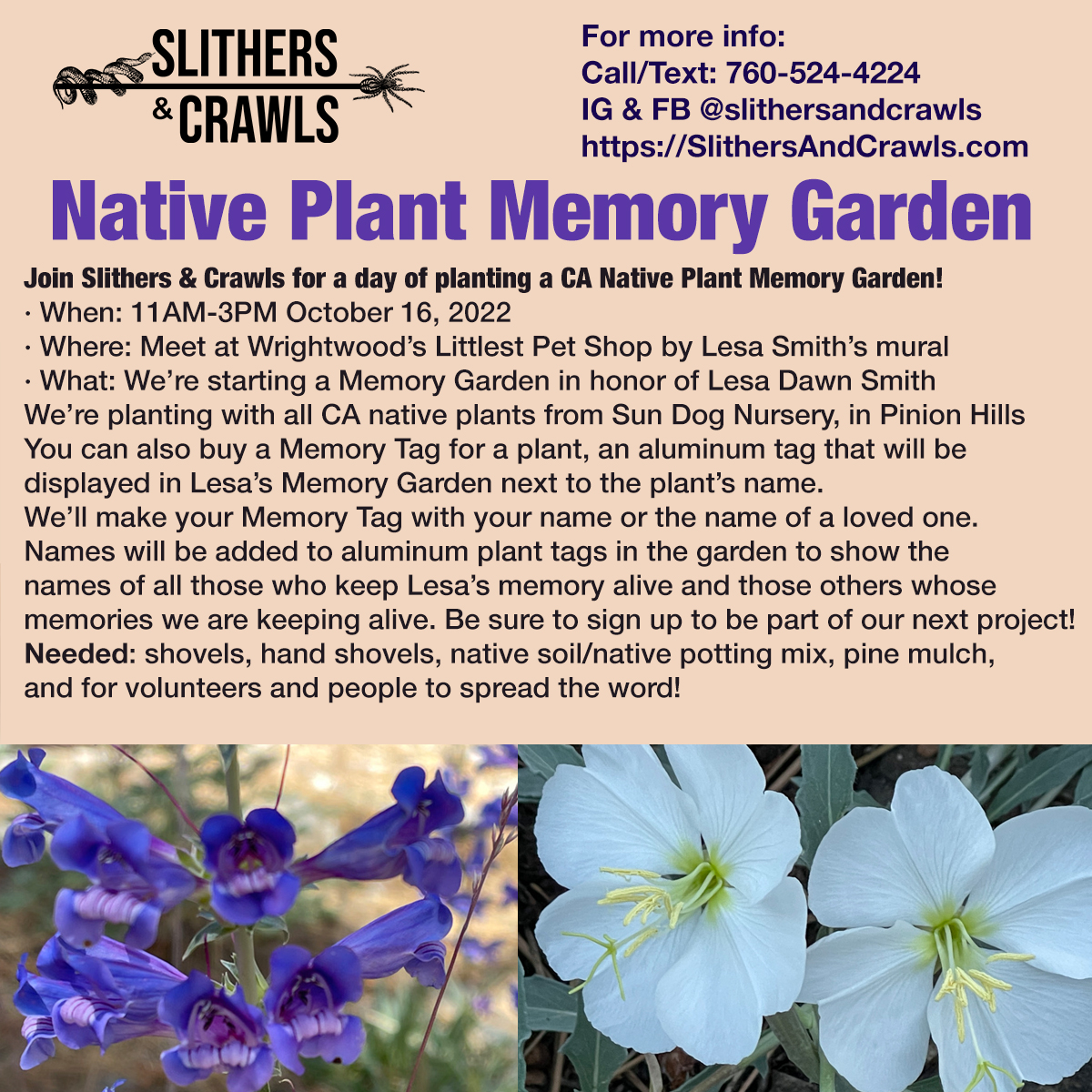 VoltaRae's tweet photo. EVENT: Native Plant Memory Garden Planting Project

Join Slithers &amp; Crawls for a day of planting a CA Native Plant Memory Garden in Wrightwood 🌱🌸
11AM-3PM October 16, 2022

#Wrightwood #slithersandcrawls #CANativePlants #EcologicalRestoration #NativePlants #NativePlantGarden https://t.co/r3zWmOVGrg