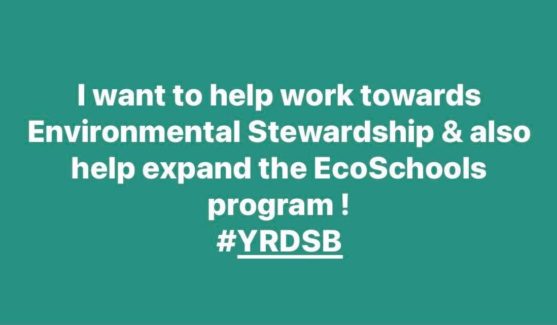 Liz Terrell (@lizterrell73) on Twitter photo 