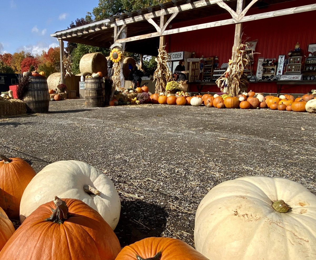 Plenty of picking options!

Whether it’s apples or pumpkins, we have lots to choose from.  Book a reservation on our website &amp; please leave pets at home. 

Apple picking includes Empire, Mutsu, Cortland, Golden &amp; Red Delicious. 

#applefarm #cornmaze #pumpkins
#dixieorchards