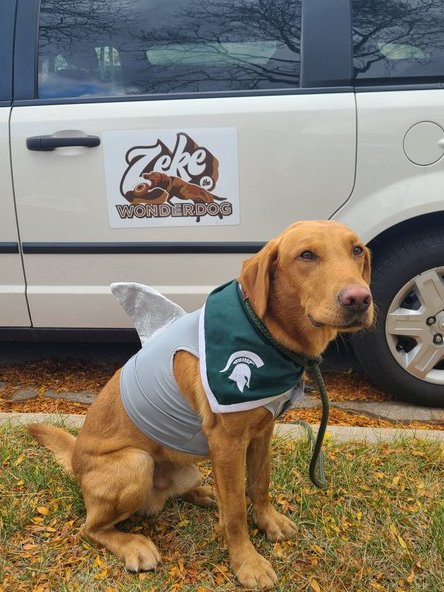 MSUZeke's tweet photo. Did anyone catch the Shark Fin I wore today to scare the students in #TheDeepEnd?
Honestly 🤔 though - 
Does this fin make my hips look big? Be Honest!
#BabyShark #KeepChoppin #MSUStudents #SpartanDawgs  @MSU_Football #SpartanStadium #Woodshed https://t.co/mfgSPRehDC