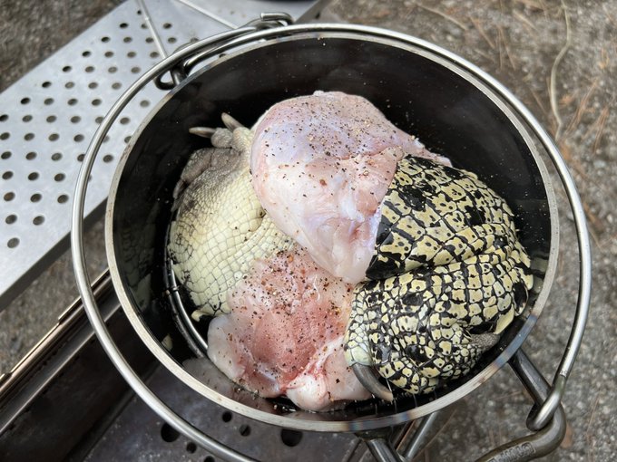 どう調理したらいいんだ、、、 