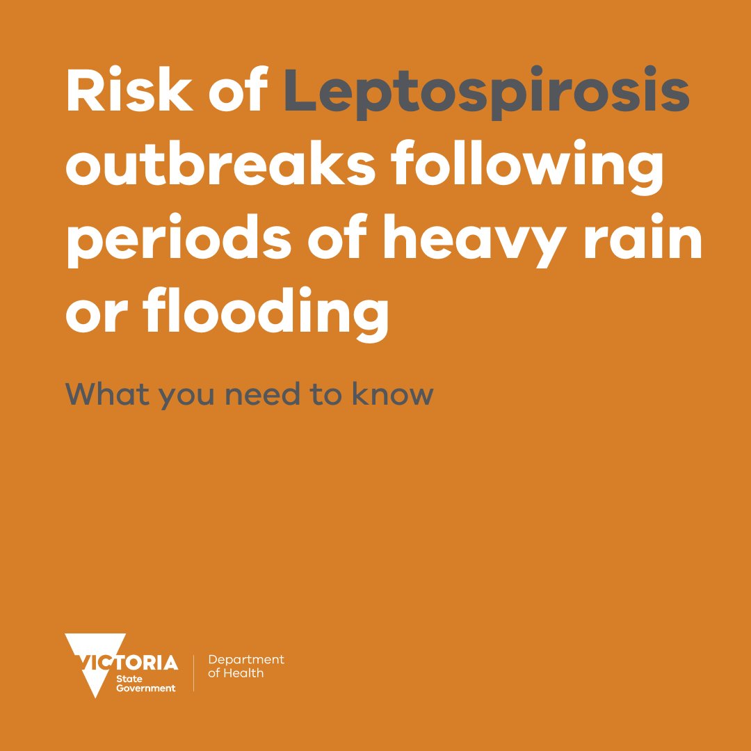 Bacterial outbreaks like Leptospirosis may occur following flooding events. Symptoms include vomiting, diarrhoea, abdominal pain, cough and sore throat. If you believe you are infected, see your GP as soon as you can. For more info, visit: betterhealth.vic.gov.au/health/conditi…