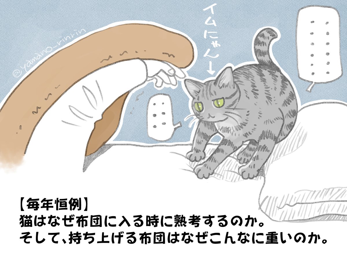 #猫のいる暮らし
#今日の山野絵
毎年言ってる気がしますが…
結局入るんだからささっと入って欲しいのですが… 
