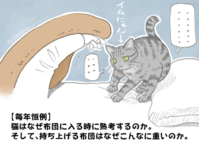 #猫のいる暮らし
#今日の山野絵
毎年言ってる気がしますが…
結局入るんだからささっと入って欲しいのですが… 