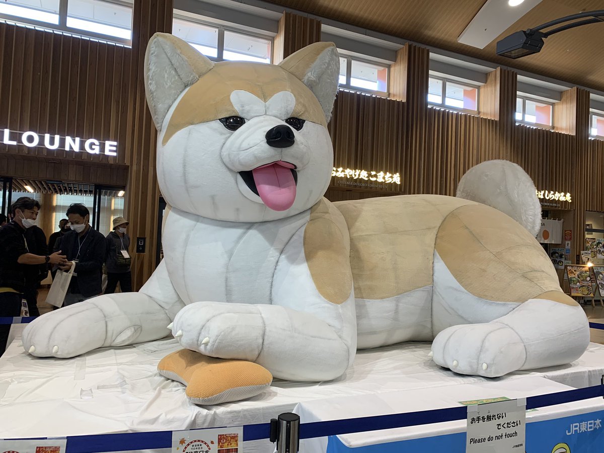 秋田へ行ってきました😊
色々な場所で秋田犬を見つけましたが、本物の犬にはで会えませんでした🤣🤣
#秋田犬