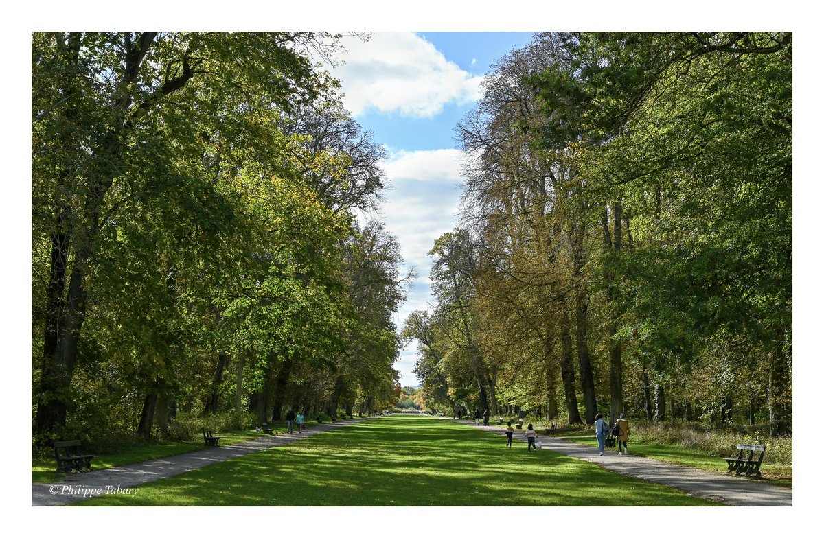 MaCotedOr's tweet photo. Promenade d’automne au parc de la Colombière à Dijon.
#CôtedOr #Bourgogne #BFC #MagnifiqueBourgogne #BaladeSympa #MagnifiqueFrance #Dijon #landscapephotography #Nature #paysage #photography #FranceMagique #Photographie #photo #nikonz6 #nikonphotography #Parc https://t.co/Q2tIFdvjOj