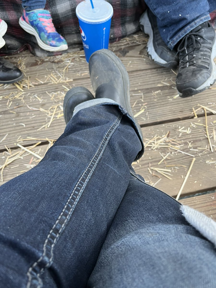 BeccaJonesTeach's tweet photo. @AlaneAdamsBooks Today we got to go in our annual pumpkin patch trip and ride on the hay ride!! #FirstBingo #getspookywithalane #girlsday https://t.co/hipr3LGNpb