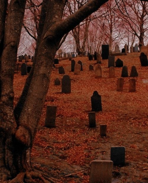 amittensblight's tweet image. filmes de halloween no drive pra quem não gosta tanto assim dos de terror, a thread! 🎃👻