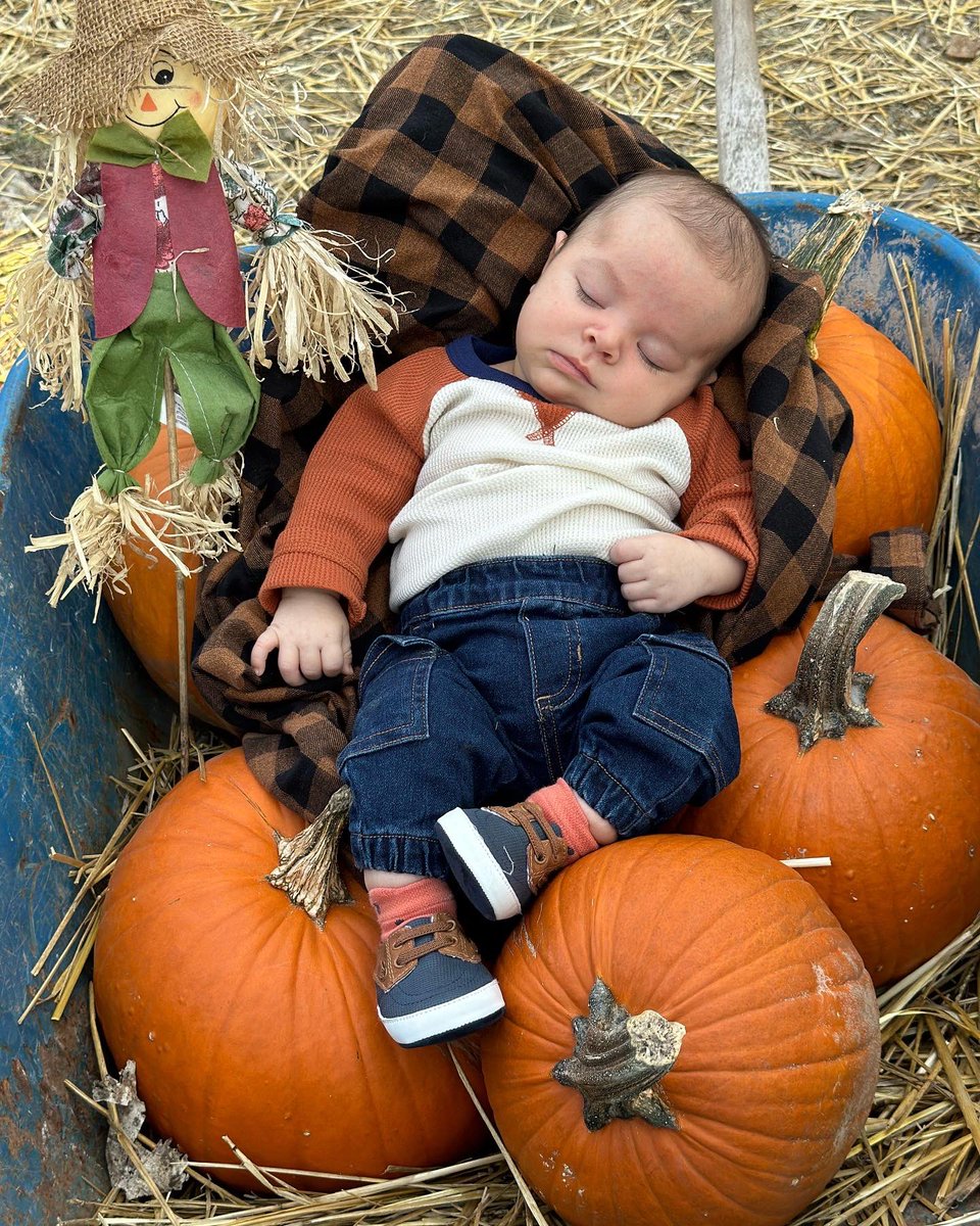 hellojaylyn's tweet photo. This little pumpkins first fall 🍂🤎 https://t.co/b171DTdFF2