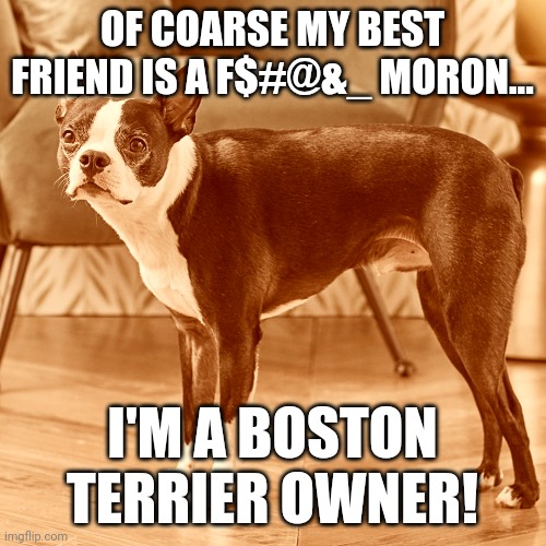 elkanddeer67's tweet photo. WHO ELSE LOVES THEIR BOSTON.....
#bostonterrier #petowners #funnypets #petdogs #petanimals #greatdogs #animaljokes #funnyanimals #funny #memes #bostonmemes #lovemypet #loveourpets https://t.co/FonAGxmo1C