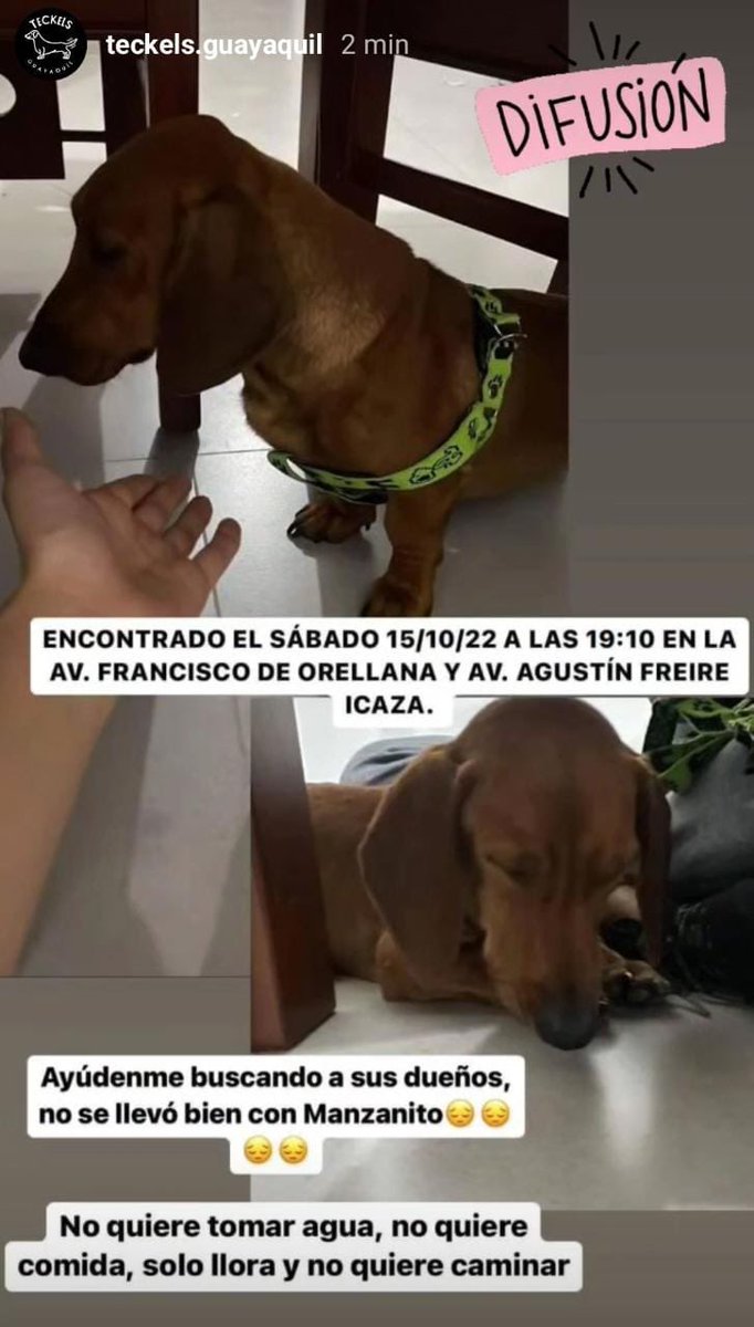 Wow | Stephanie Orellana Moreno | 22 comments, image size:682x1200