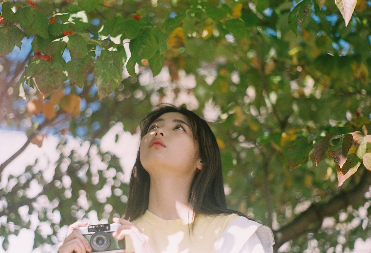 __________om914's tweet photo. 友達に撮ってもらったフィルム写真、良すぎて毎日穴が空くんじゃないかってくらい見てる https://t.co/UXULK630Kx