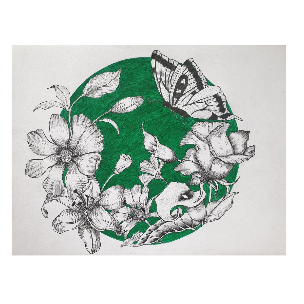 kaesidy's tweet photo. Flowers and butterfly
#inktober #inktober2022 #pendrawing #art #artistsontwitter #artwork #drawing #drawontwitter #flowers #butterfly #natureart #flowerdrawing #twitterart https://t.co/CLhpr3DWmM
