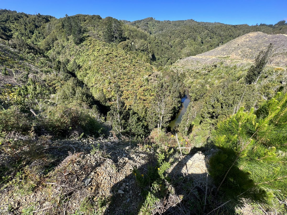 Whakatekei River as seen from a logging track off Bulls Run Road. Looks like a great summer swimming spot.