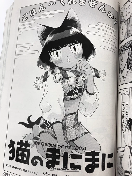 🍥ハルタ98号発売中🍥
#猫のまにまに 13話は田中クロフォードが帰ってくる。しかもバイト回との悪魔合体である。恩義はカワイイで返す、それが猫の恩返しであるのなあ🐈‍⬛
⚡️電子もあるす⚡️
https://t.co/19Iv5RLLZ7 