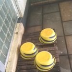 ツイートに含まれる画像