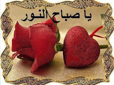 MuhammedSumon9's tweet photo. https://t.co/OTjpiyj71M