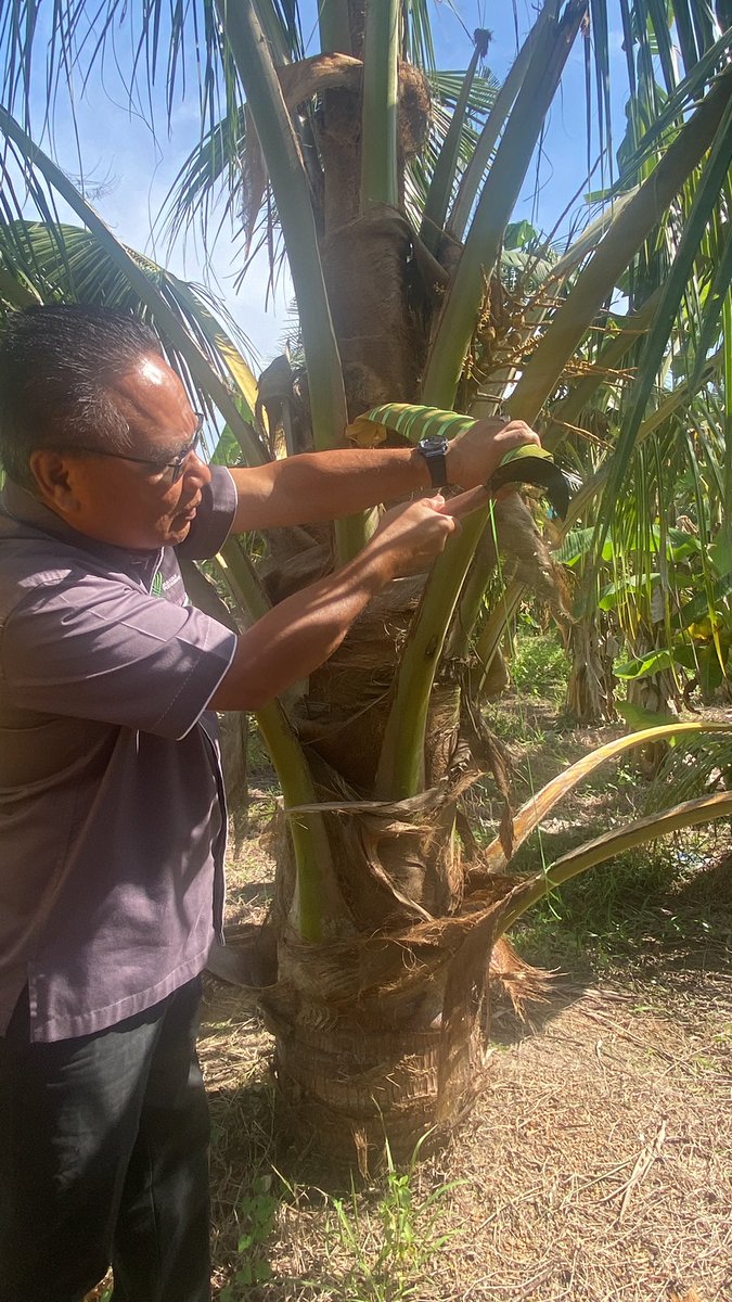 doaselangor's tweet photo. TERBAIK DARI WARGA TANI SABAK BERNAM https://t.co/OfK1g606Nz