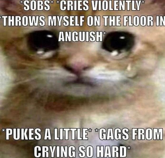 ⠀

⠀⠀⠀raimi.⠀⠀ HE REMEMBERED

⠀