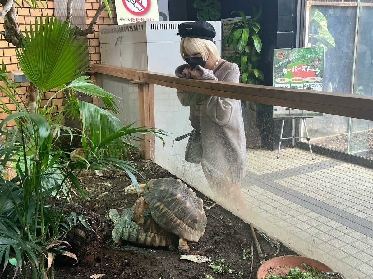 乙爱丽丝 究極の美学を公開