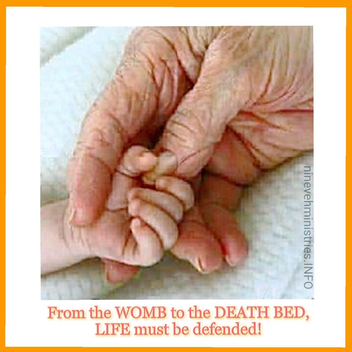 CnsrvatvTonyUSA's tweet photo. @LifeNewsHQ @marklevinshow @dbongino @seanhannity
VIABILITY outside the womb is NO litmus test to whether you're human or not. God ordained a 9 month gestation period, but sometimes He brings you out earlier, and medical care is needed, BUT you've been ALIVE since conception!
#LIFEinside https://t.co/pdEWzjLx2L