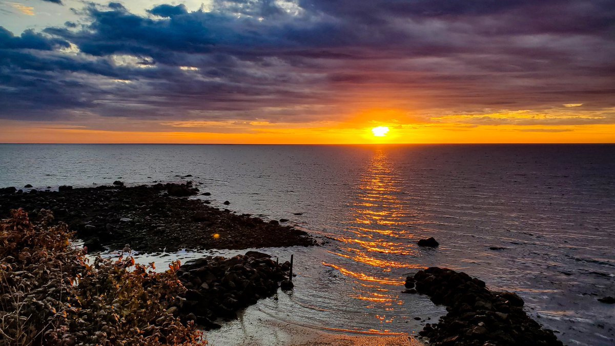 dyeany2's tweet photo. Manomet Point at #AFO100 - spectacular sunrise, some seabirds, and seals! #alliteration #sunrise #CorysShearwater #SurfScoter #GraySeal https://t.co/U4orBGABbp