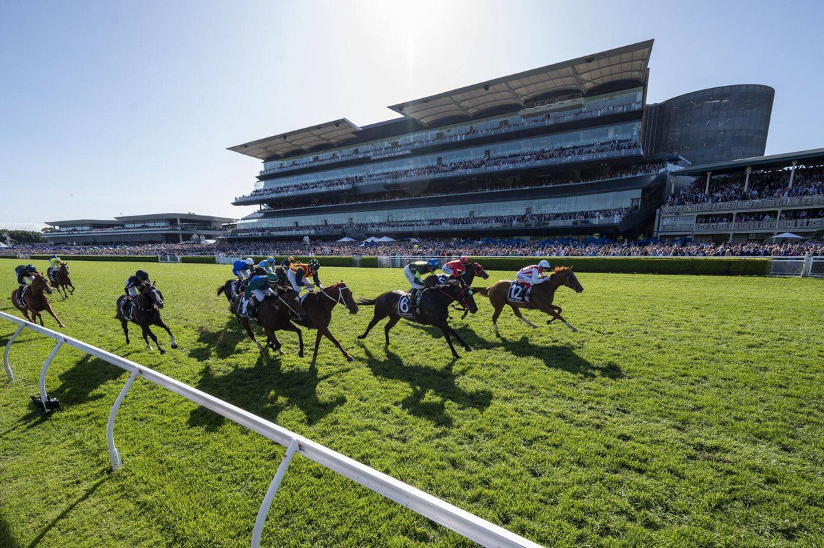 Racing_Previews's tweet photo. Randwick and Caulfield were packed to the rafters yesterday as one of the great racedays on the calendar took place.
But it wasnโt horse scans and selfies or champagne spilling TVCโs that got the crowd there.
Itโs good racing and the ability to put on a show.
#RacingPreviews https://t.co/d89aZAS5UT