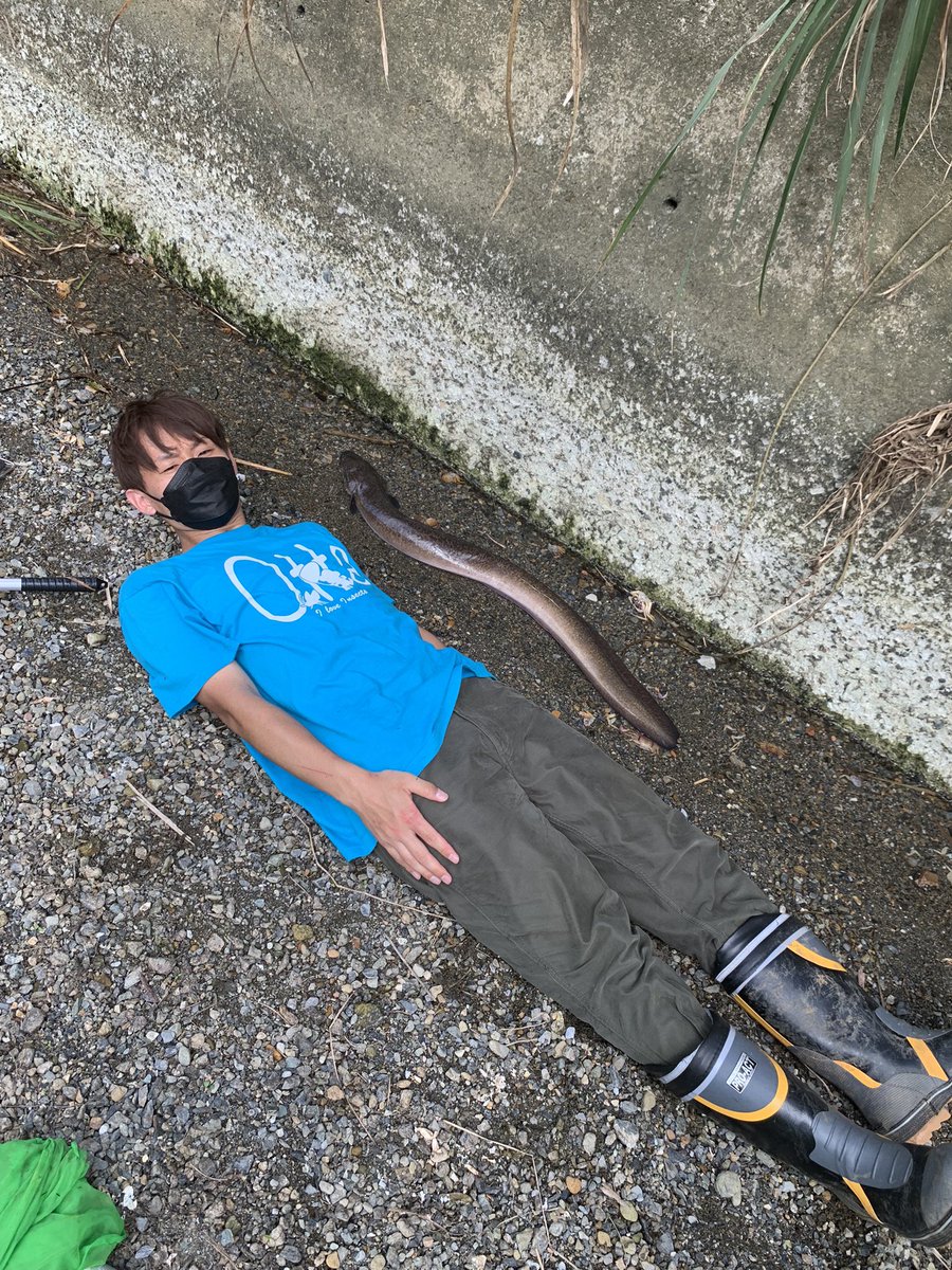msniyy's tweet photo. むしおかだいき氏、otta https://t.co/g8DRo7sJPm