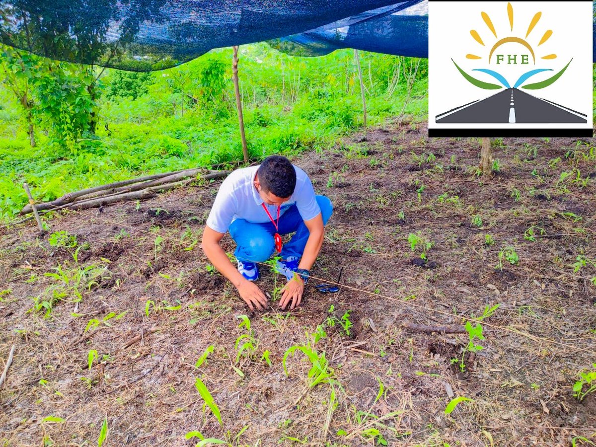 horizontes_de's tweet photo. Fundacion Horizontes de Esperanzas
Seguimos trabajando por nuestro campesino
#AgropopularMujerRural 
@MinAgricultura 
#Tierra 
#campesino 
#hortalizas 
#emprendimiento https://t.co/VTDsvUFnaW