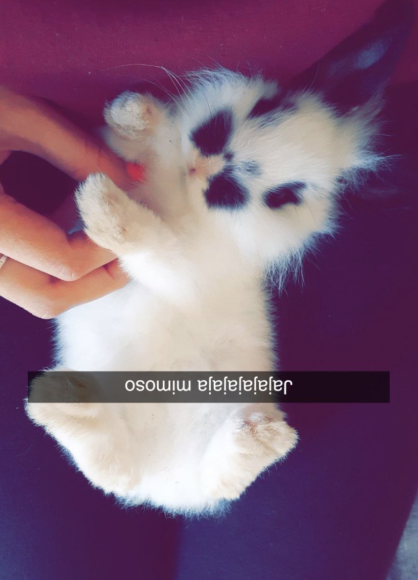 violewe_'s tweet photo. mi bb para siempre🤍 https://t.co/X7JasTGX7n