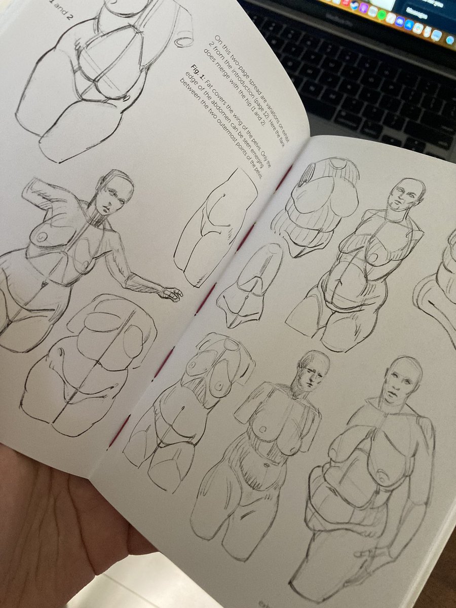 If I gotta recommend book/s on anatomy… get Morpho. 📖🤲✨
Comprehensive and straightforward. 