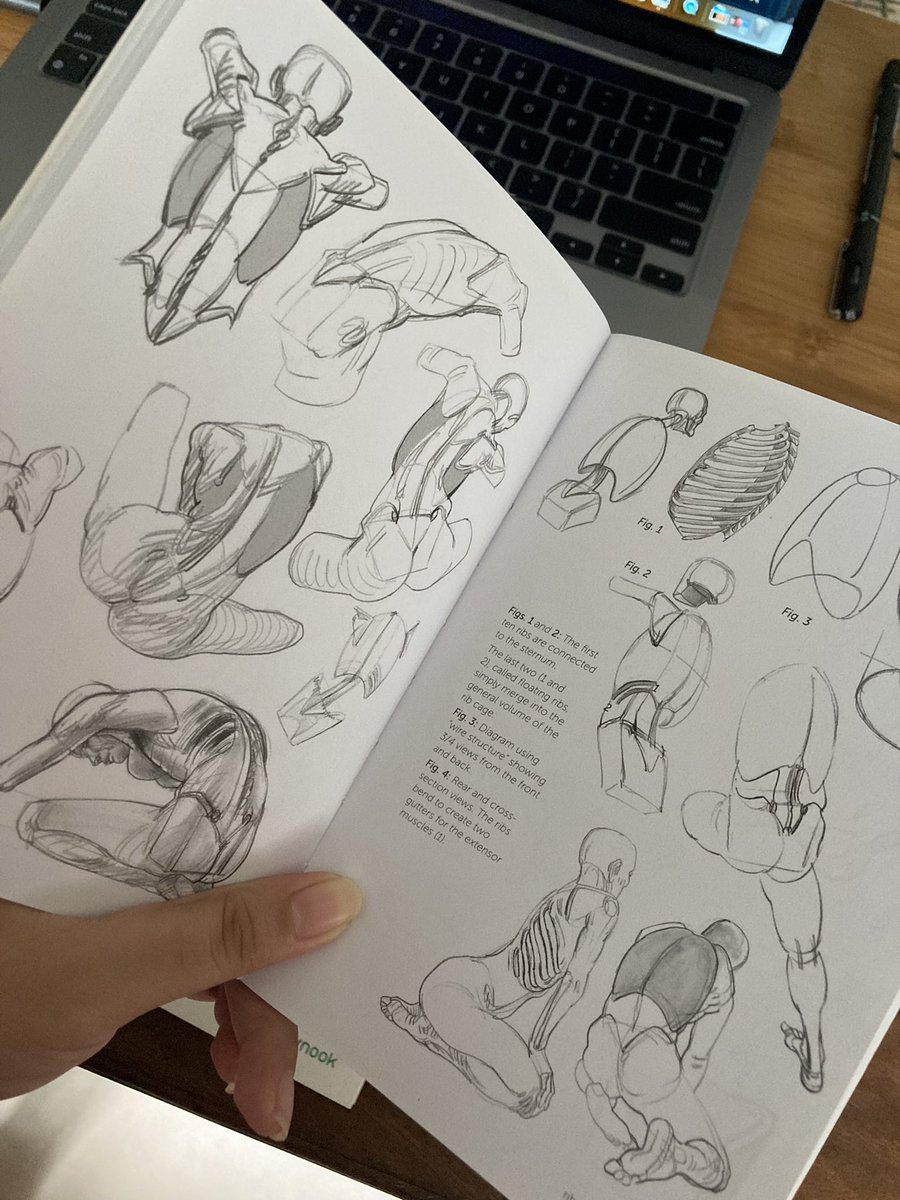 If I gotta recommend book/s on anatomy… get Morpho. 📖🤲✨
Comprehensive and straightforward. 